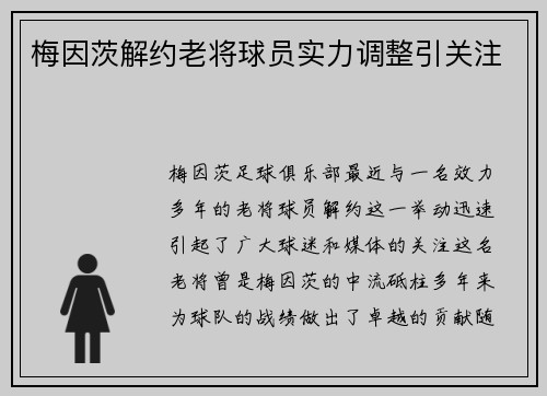 梅因茨解约老将球员实力调整引关注